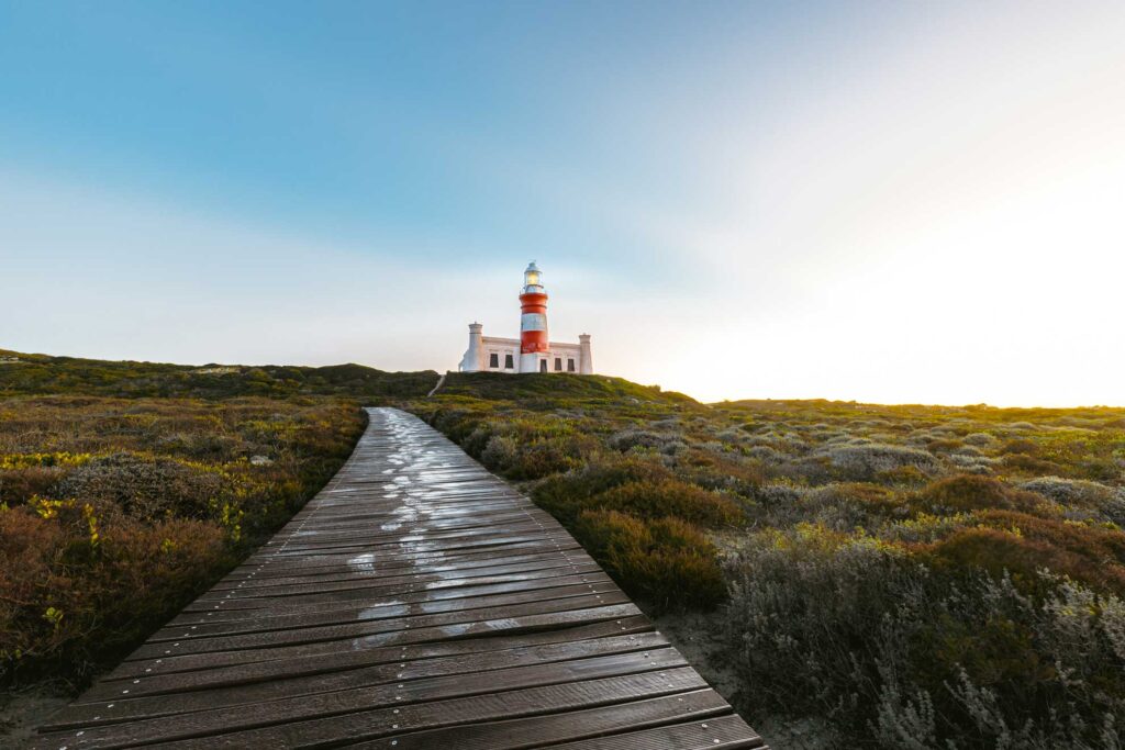 agulhas-background